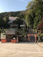 白鬚神社の写真・動画_image_507435