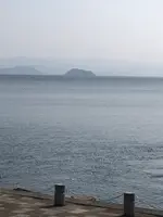 今津港の写真・動画_image_507476