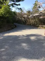 小谷城中腹駐車場の写真・動画_image_507599