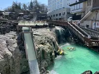 湯畑の写真・動画_image_507749