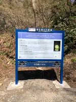 小刀根トンネルの写真・動画_image_507883