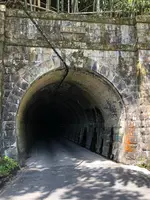 旧北陸本線曽路地谷トンネルの写真・動画_image_507929