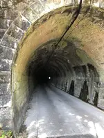 旧北陸本線曽路地谷トンネルの写真・動画_image_507930