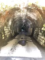 旧北陸線曲谷トンネルの写真・動画_image_507940