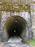 旧北陸本線芦谷トンネル（芦谷隧道）の写真・動画_image_507947