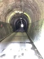旧北陸本線芦谷トンネル（芦谷隧道）の写真・動画_image_507950