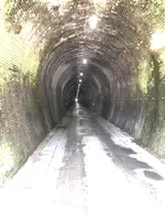 山中トンネルの写真・動画_image_507954