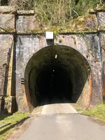 山中トンネルの写真・動画_image_507955