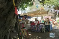 希望ケ丘公園の写真・動画_image_508462