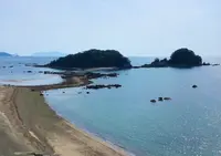 咸陽島公園の写真・動画_image_508519