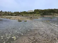 咸陽島公園の写真・動画_image_508520