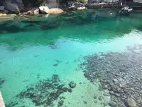 柏島の写真・動画_image_508524