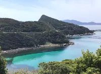 柏島の写真・動画_image_508525