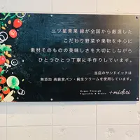 プラスミドリの写真・動画_image_509140