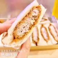 とんかつ16の写真・動画_image_509197