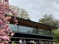 スターバックスコーヒー 新宿御苑店の写真・動画_image_509407