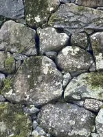 松江城の写真・動画_image_509603