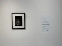 GREAT BOOKS（グレート ブックス）の写真・動画_image_509737