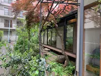 Chanoma（チャノマ）の写真・動画_image_510069