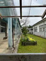 旧質美小学校の写真・動画_image_510318
