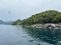 伊根湾めぐり遊覧船の写真・動画_image_510642