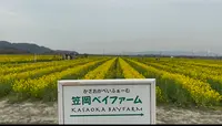 笠岡ベイファームの写真・動画_image_510675