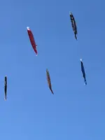 道の駅 こすげの写真・動画_image_510741