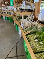 道の駅 こすげの写真・動画_image_510750