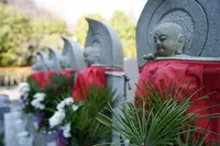 高野山真言宗 大師寺の写真・動画_image_511352