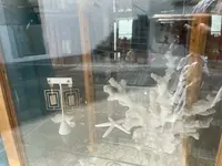 Girty’s Key  ガーティーズキーの写真・動画_image_511413