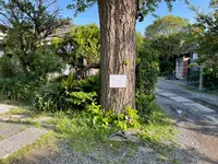 artique kamakura | アーティーク 鎌倉 フランス アンティークの写真・動画_image_511428