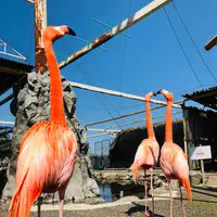 ラクテンチの写真・動画_image_511596