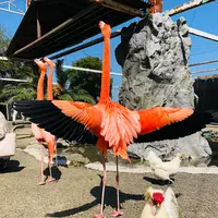 ラクテンチの写真・動画_image_511597