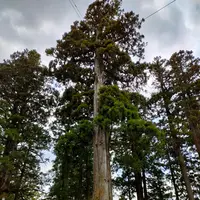 戸隠神社中社の写真・動画_image_511923