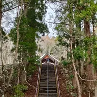 戸隠神社中社の写真・動画_image_511926