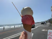 HOLIDAY ICE CREAM STORE (ホリデーアイスクリームストア)の写真・動画_image_511985