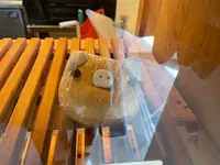 なみまちベーグルの写真・動画_image_512019