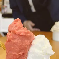 サンドルチェの写真・動画_image_512055