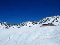 雪の大谷の写真・動画_image_512180