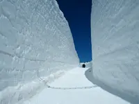 雪の大谷の写真・動画_image_512183