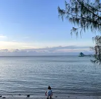 Fish Eye Marine Park（フィッシュアイマリーンパーク）の写真・動画_image_512384