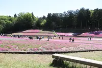 羊山公園の写真・動画_image_512449
