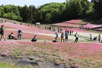 羊山公園の写真・動画_image_512450