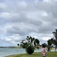 KFC アニグアの写真・動画_image_512456