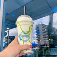 Café Mayflourの写真・動画_image_512472