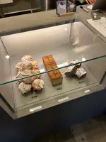 BOTTA COFFEEの写真・動画_image_512815