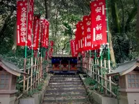 大山祇神社の写真・動画_image_51294