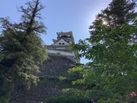 高知城の写真・動画_image_513162