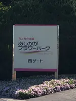 あしかがフラワーパークの写真・動画_image_513311