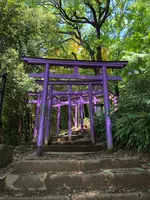 足利織姫神社 七色の鳥居の写真・動画_image_513339